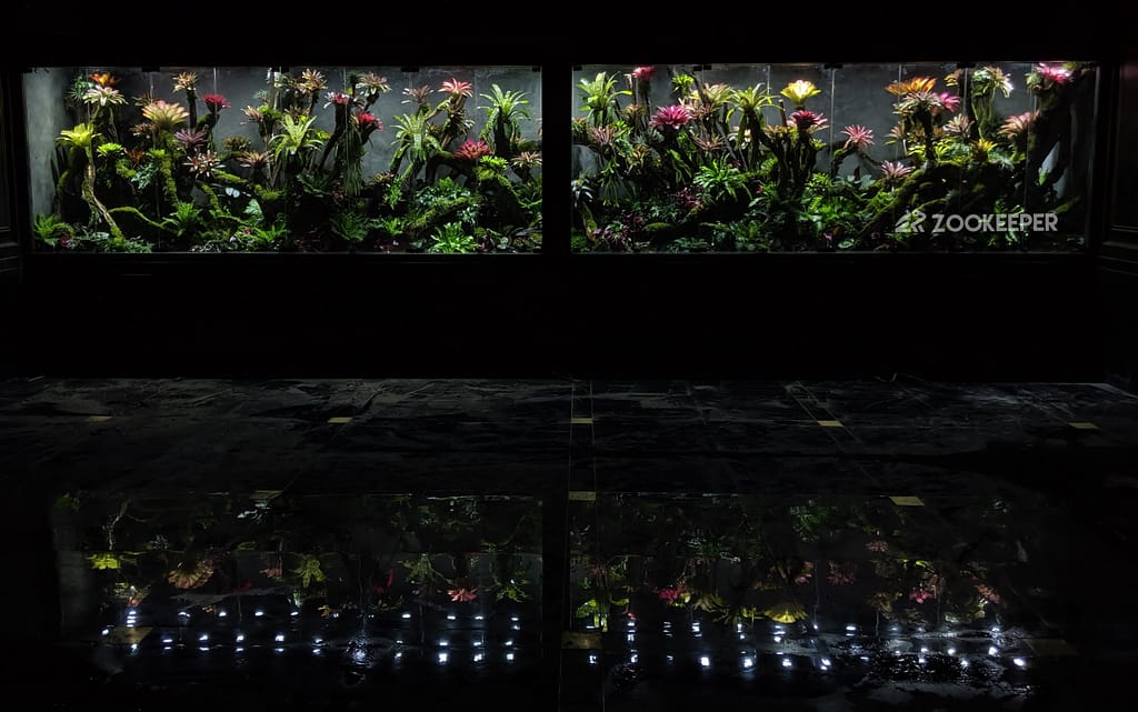 9M Vivarium Front Zookeeper